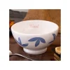 Cuisine Et Table|Maison Ghibli Bol Howl - Le Château ambulant