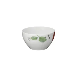 Cuisine Et Table|Maison Ghibli Bol Totoro Tomate - Mon Voisin Totoro